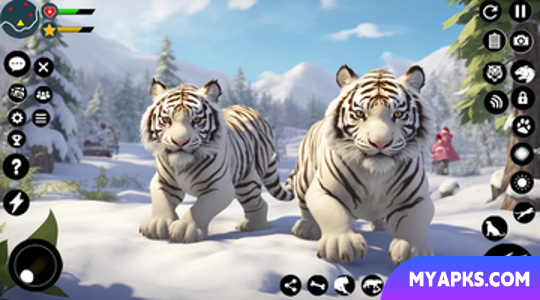 Arctic White Tiger Family Sim