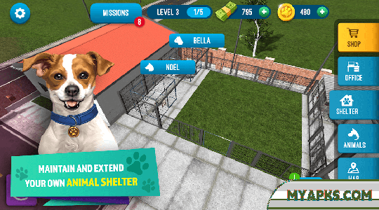 Animal Shelter Simulator