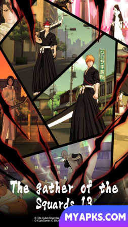 BLEACH Mobile 3D