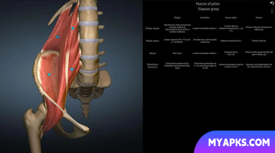 Anatomy Learning - 3D Anatomy Atlas