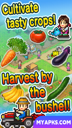 Pocket Harvest