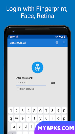 SafeInCloud Pro