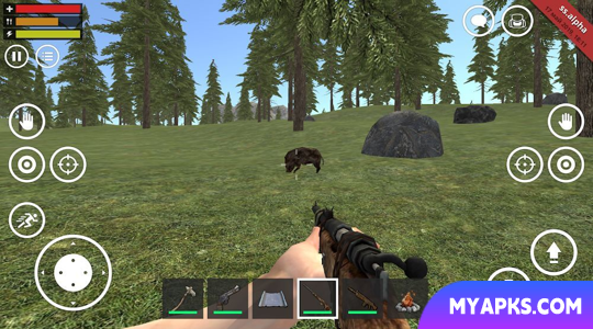 Survival Simulator