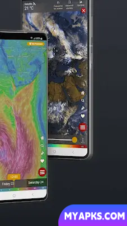 Windy.com - Weather Forecast