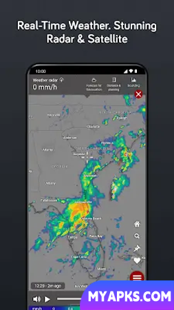 Windy.com - Weather Forecast