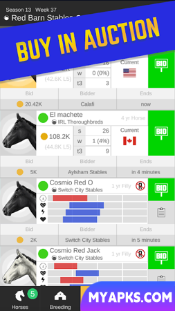 Stable Champions - Horse Racing Manager