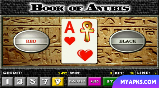 Book of Anubis