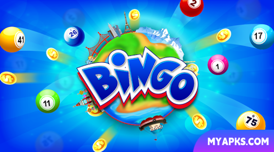 Bingo Frenzy