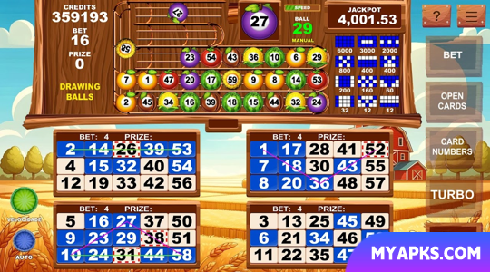 Video Bingo Little Farm