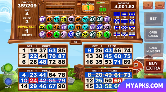 Video Bingo Little Farm