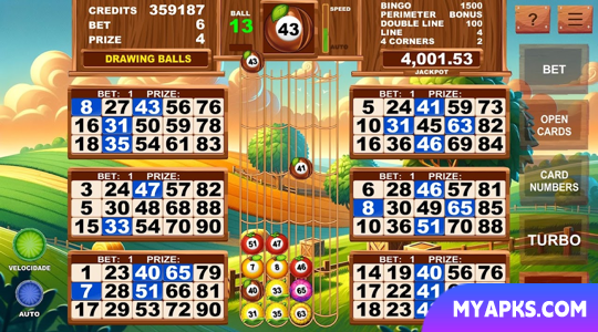 Video Bingo Little Farm