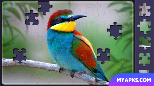 Relax Jigsaw Puzzles