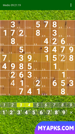 Sudoku. Oh no, Another one!