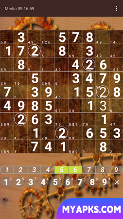 Sudoku. Oh no, Another one!