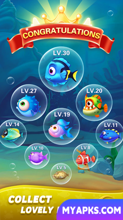 Block Ocean 1010 Puzzle Games