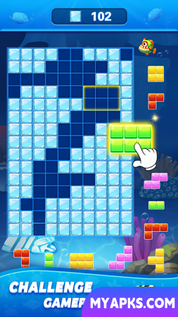 Block Ocean 1010 Puzzle Games